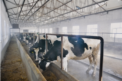 黑龍江齊齊哈爾富?？h光明乳業 一拖三加一 恒壓供水設備